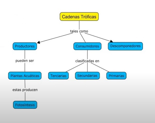 Cmaptools En Línea Gratis Sin Descargar - Crea Mapas Conceptuales Gratis